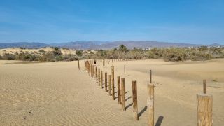 2023-GC--Mapalomas dunas-S123-266.jpg